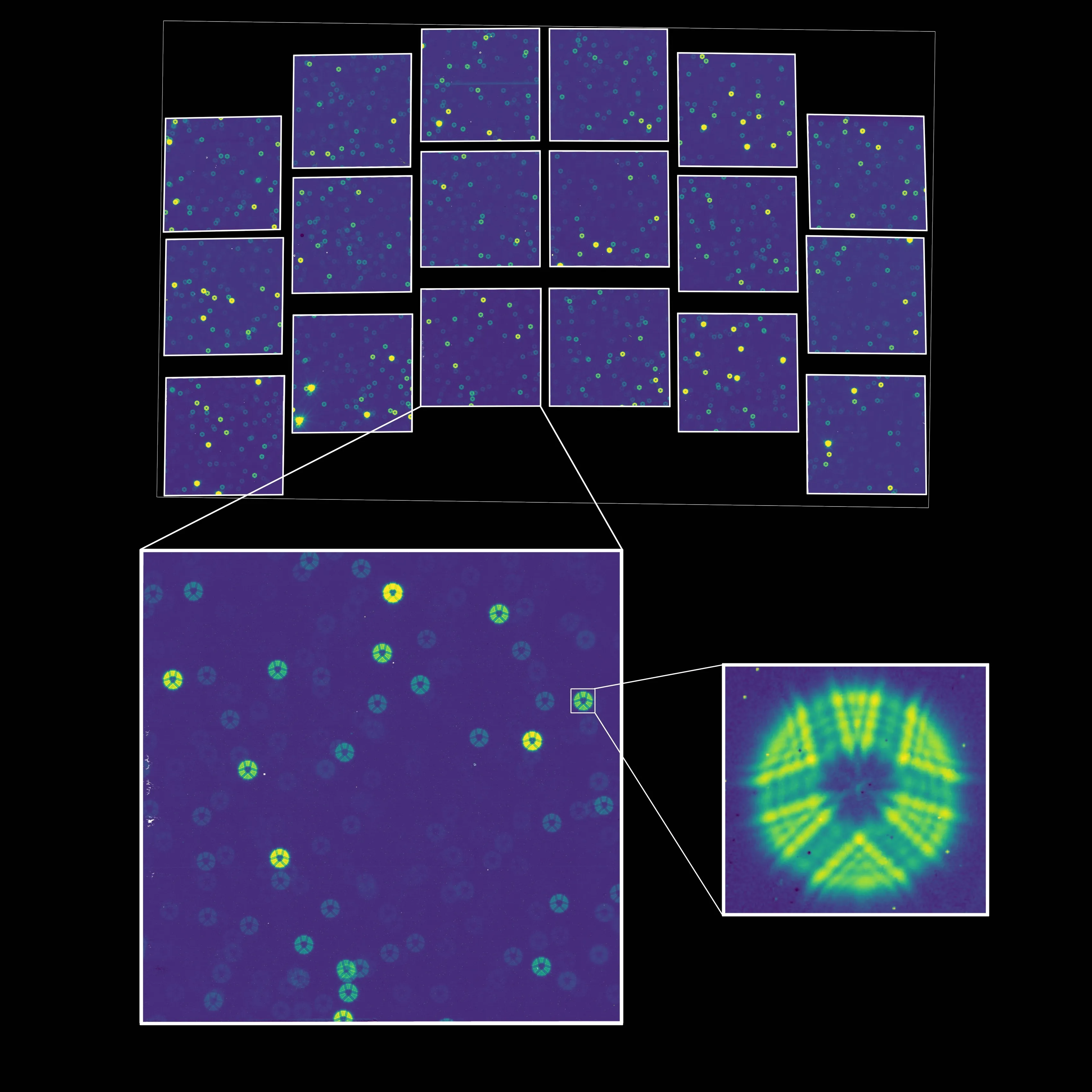 First photons: the Wide Field Instrument's first test image